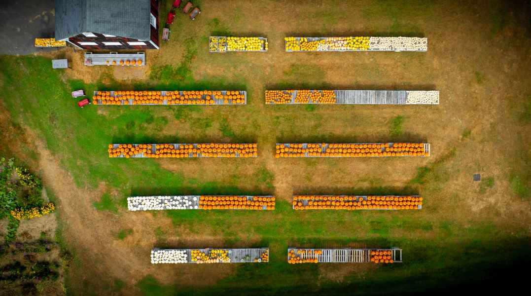  North Hatfield Pumpkin Company drone photograph