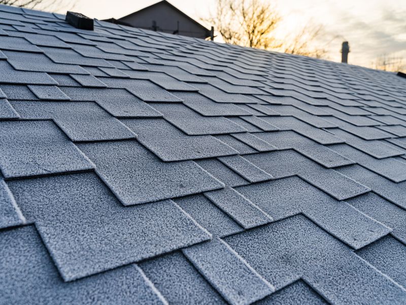 close up of roof shingles